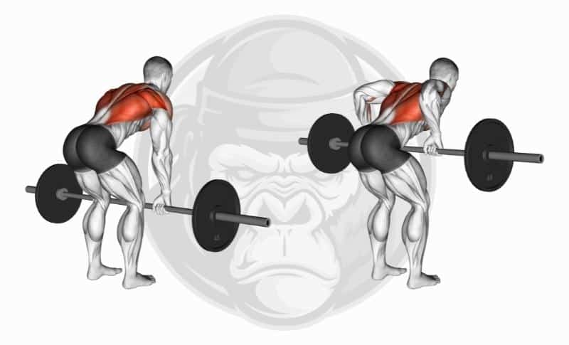 Best Back Exercises - Bent-Over Rows