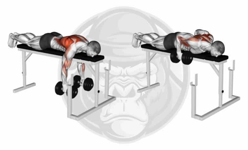 Best Back Exercises - Chest-Supported Dumbbell Rows