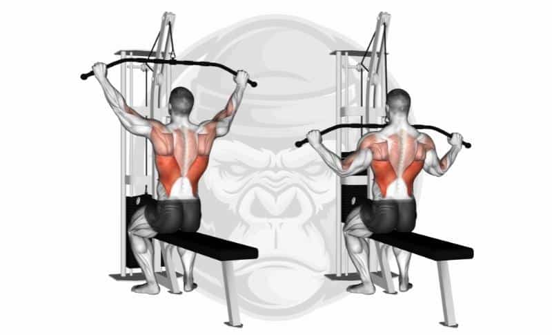 Best Back Exercises - Lat Pull-Downs