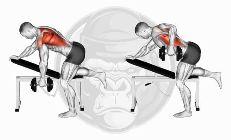 Best Back Exercises - Single-Arm Dumbbell Rows