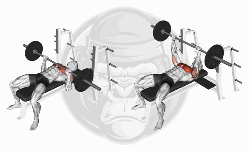 Best Chest Exercises - Barbell Bench Press