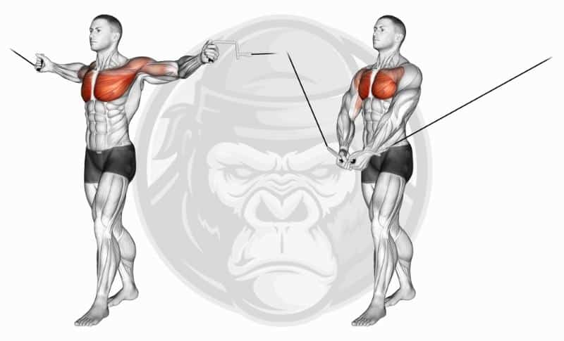 Best Chest Exercises - Cable Crossover
