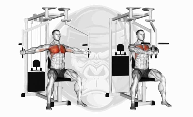 Best Chest Exercises - Chest Flyes