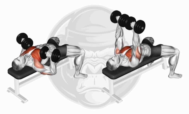 Best Chest Exercises - Dumbbell Bench Press