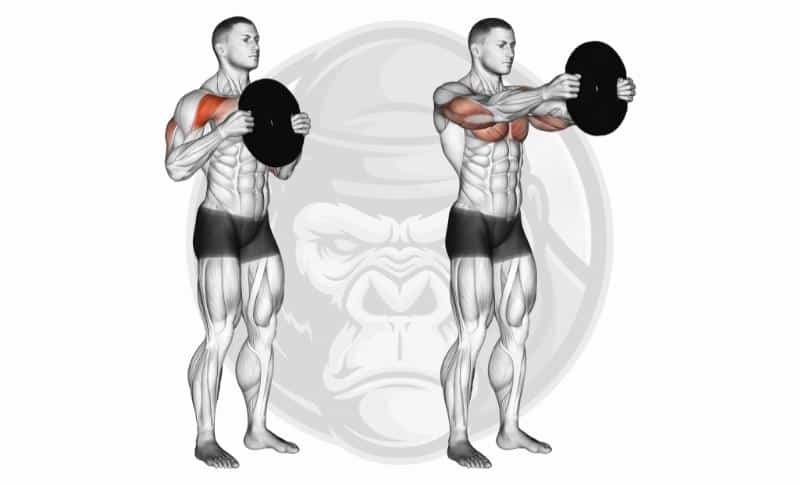 Best Chest Exercises - Plate Pinch Press