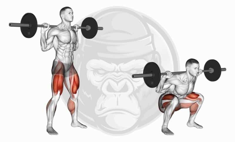 Best Glute Exercises - Back Squats