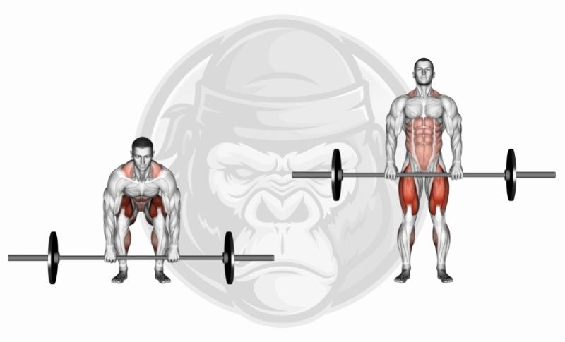Best Glute Exercises - Conventional Deadlifts