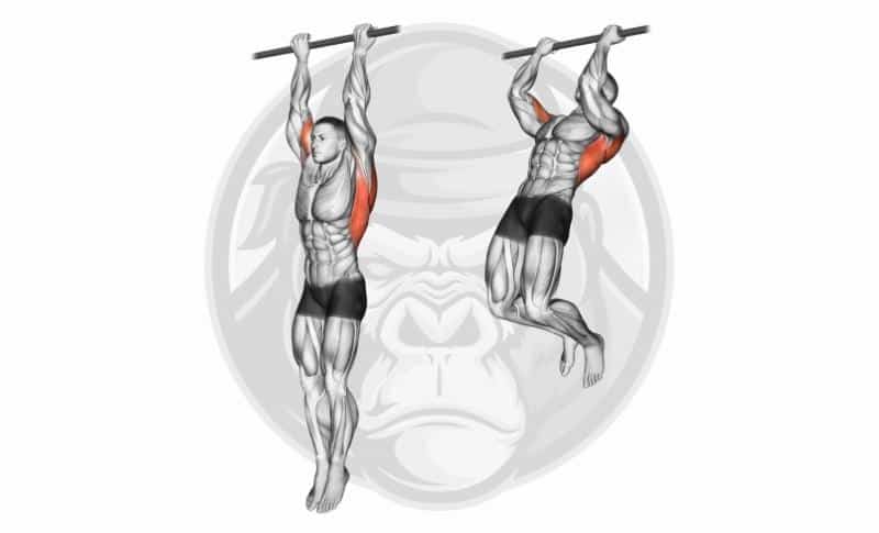 Best Grip Exercises - Chin-Ups