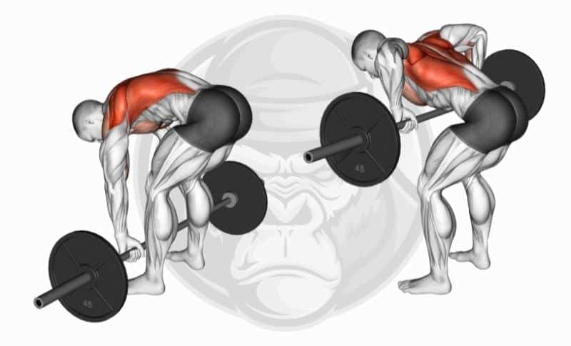 Best Lat Exercises - Barbell Rows