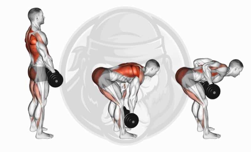 Best Lat Exercises - Dumbbell Rows