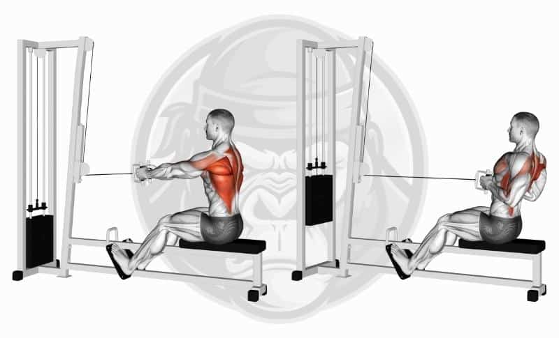 Best Lat Exercises - Seated Cable Rows