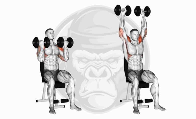 Best Shoulder Exercises - Arnold Press