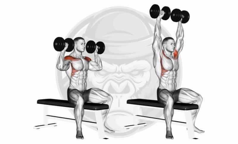 Best Shoulder Exercises - Seated Dumbbell Shoulder Press