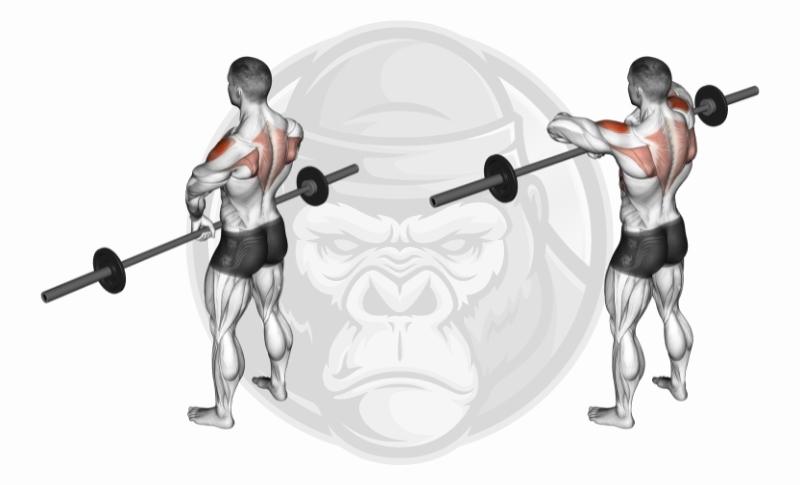 Best Shoulder Exercises - Upright Rows