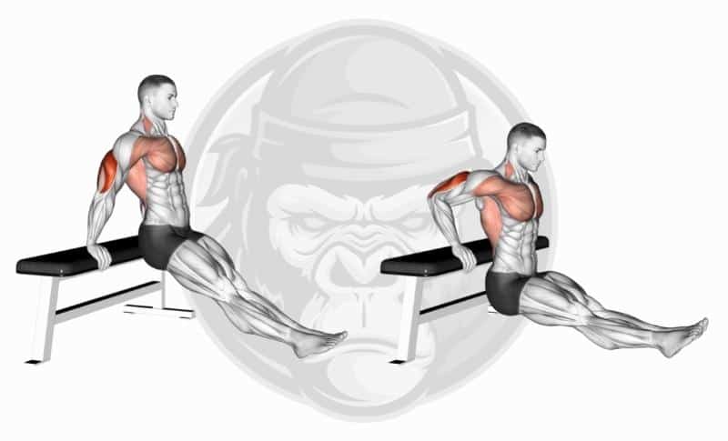 Best Tricep Exercises - Bench Dips