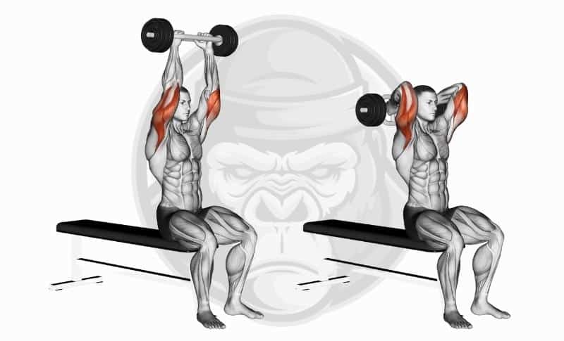 Best Tricep Exercises - Overhead Tricep Extensions