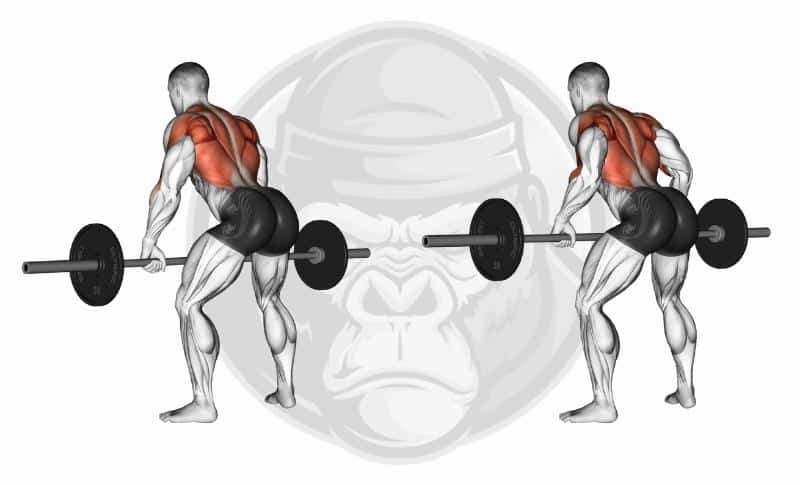 Best Weighted Bar Exercises - Bent Over Rows
