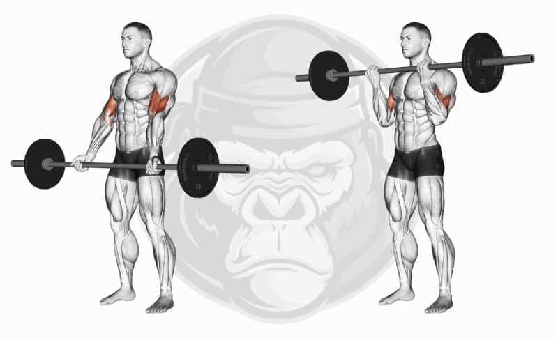 Best Weighted Bar Exercises - Bicep Curls