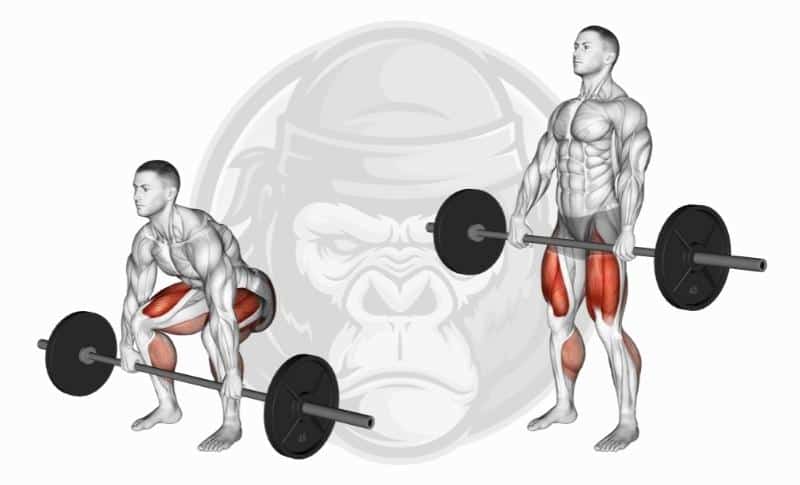 Best Weighted Bar Exercises - Deadlifts