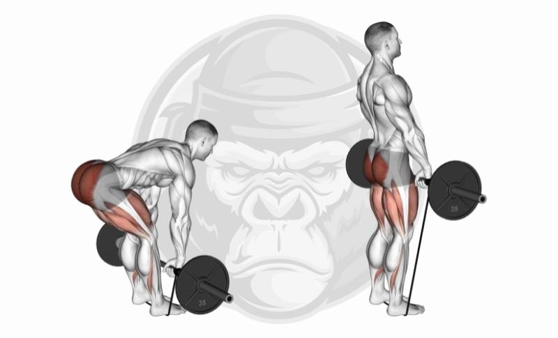 Best Weighted Bar Exercises - Romanian Deadlifts