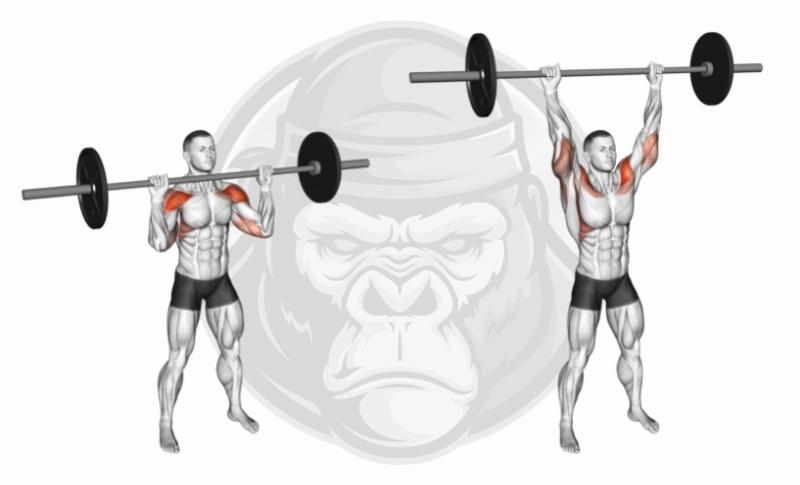 Best Weighted Bar Exercises - Shoulder Press