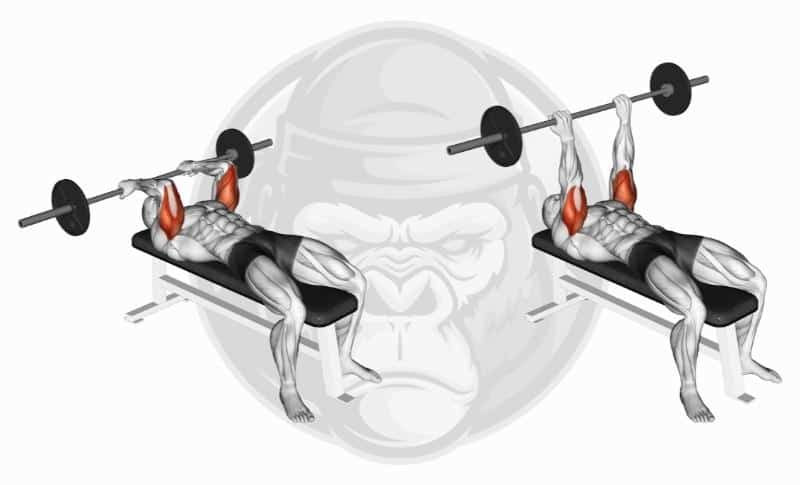 Best Weighted Bar Exercises - Skull Crushers