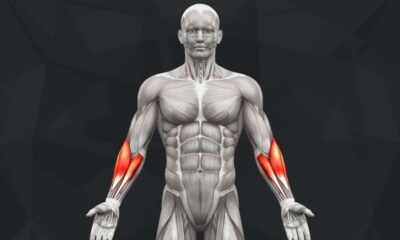 The Best Forearm Exercises
