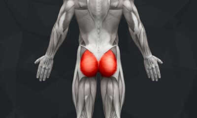 The Best Glute Exercises
