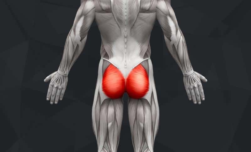 The Best Glute Exercises