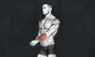 The Best Grip Exercises