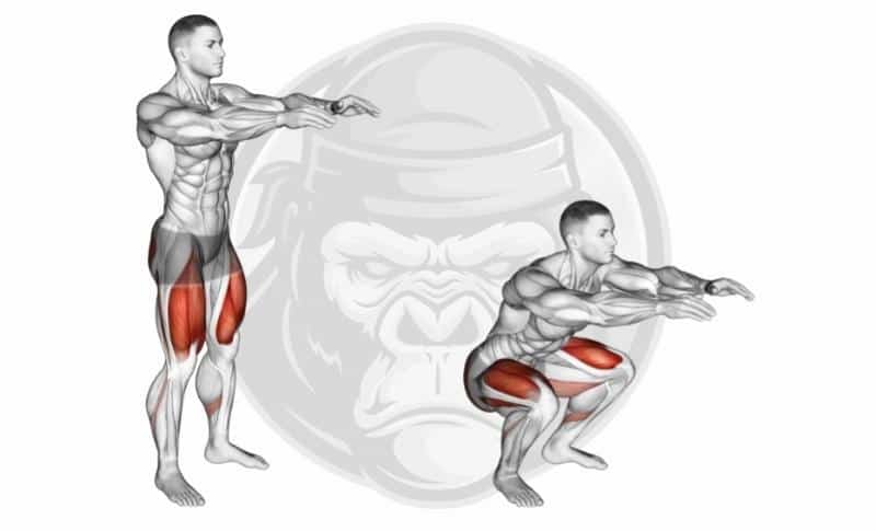 Best Bodyweight Leg Exercises - Squats