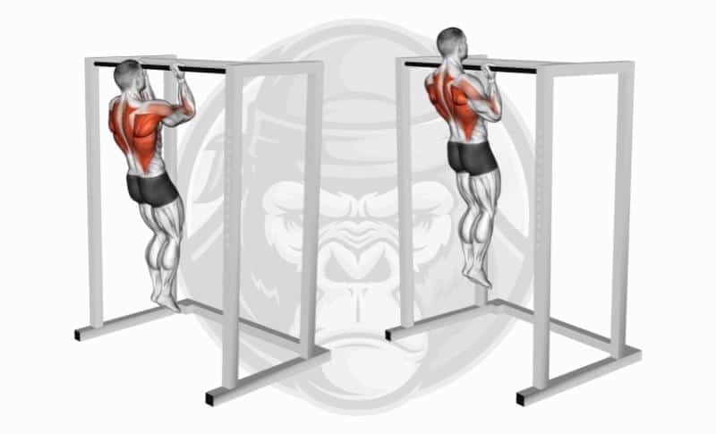 Best Long Head Bicep Exercises - Chin-Ups