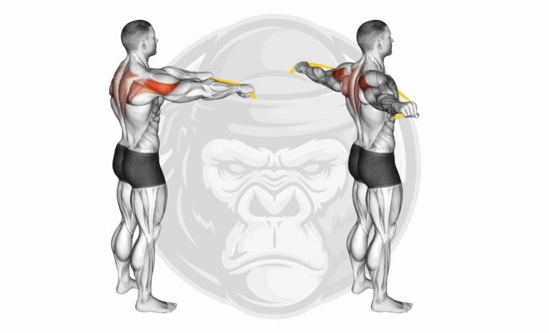 Best Rhomboid Exercises - Banded Pull-Aparts