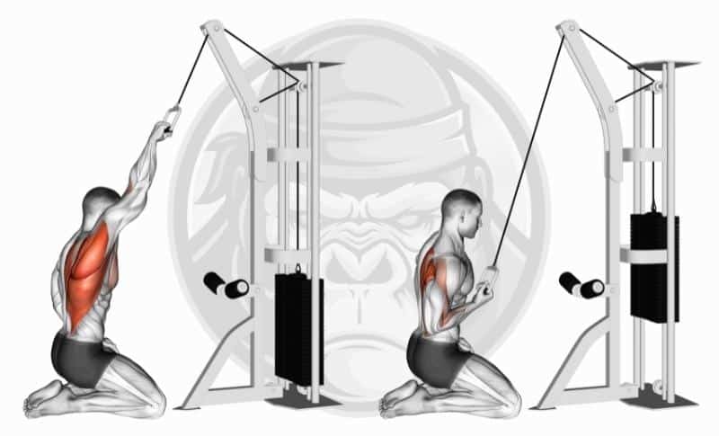 Best Rhomboid Exercises - One-Arm High-Angle Cable Rows