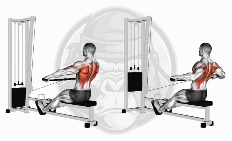 Best Rhomboid Exercises - Wide Grip Seated Cable Rows