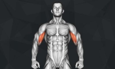 The Best Long Head Bicep Exercises