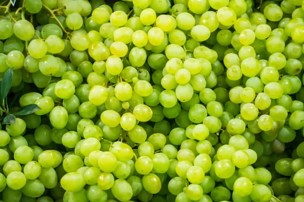 Best-Healthy-Snacks-Grapes