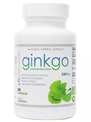 VH Nutrition Ginkgo Biloba