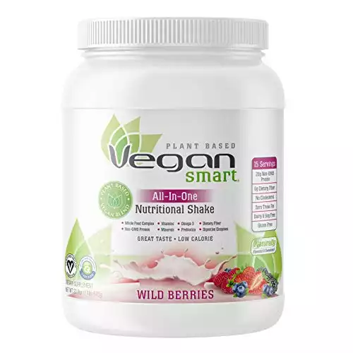 Vegansmart Plant Based Protein Powder
