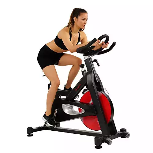 Sunny Health & Fitness SF-B1714 Evolution Pro Exercise Bike