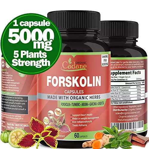 Organic Cadane Forskolin