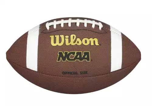 Wilson NCAA Composite Official Football